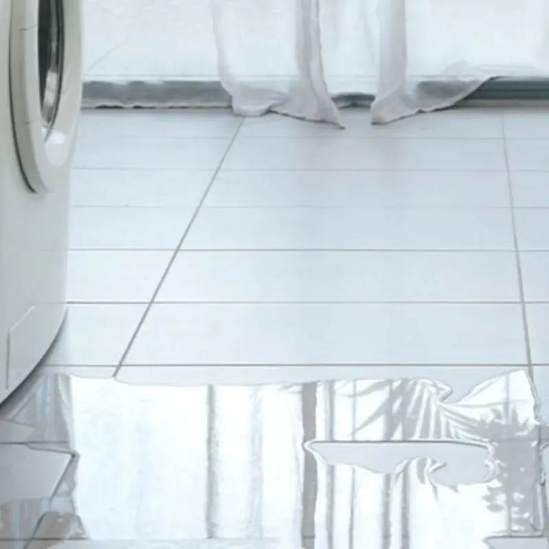 Appliance Leak Cleanup in Sheboygan, WI