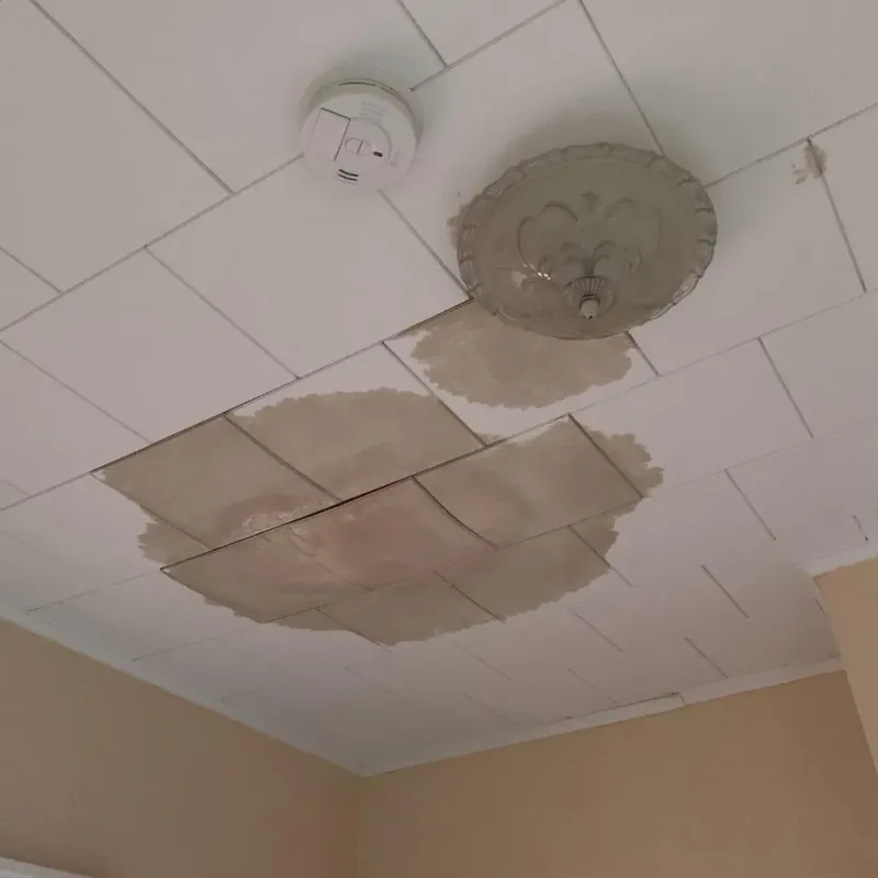 Ceiling Water Damage Repair in Sheboygan, WI