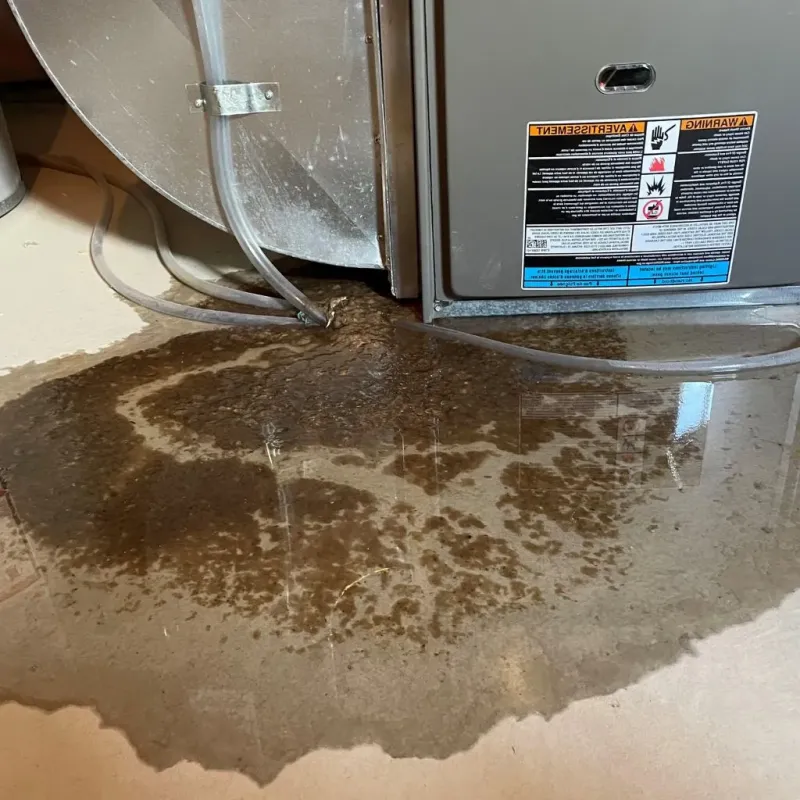 Pipe Burst and Leak Restoration in Sheboygan, WI